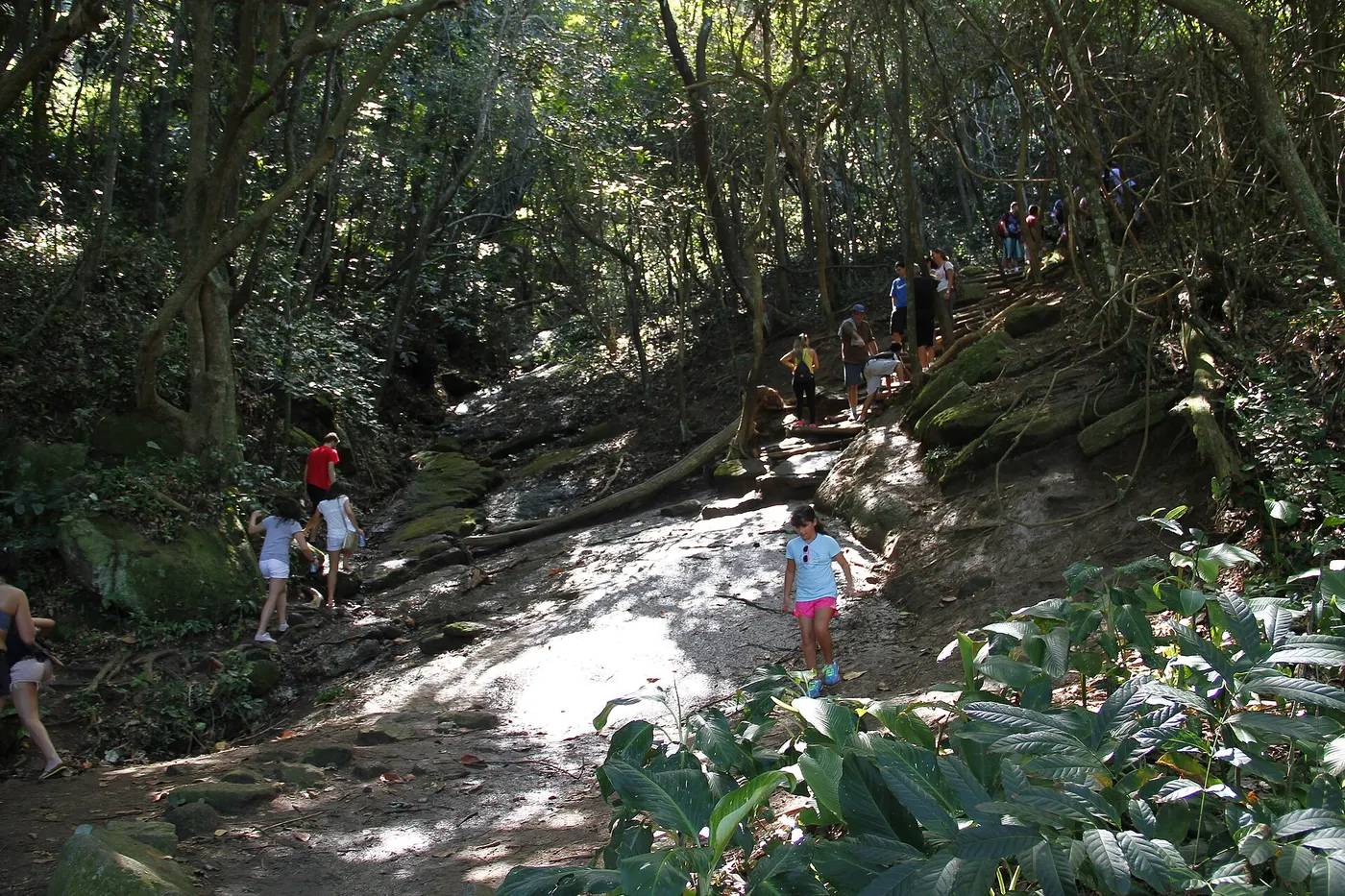 Christ the Redeemer and Sugarloaf, photo 6 of 7